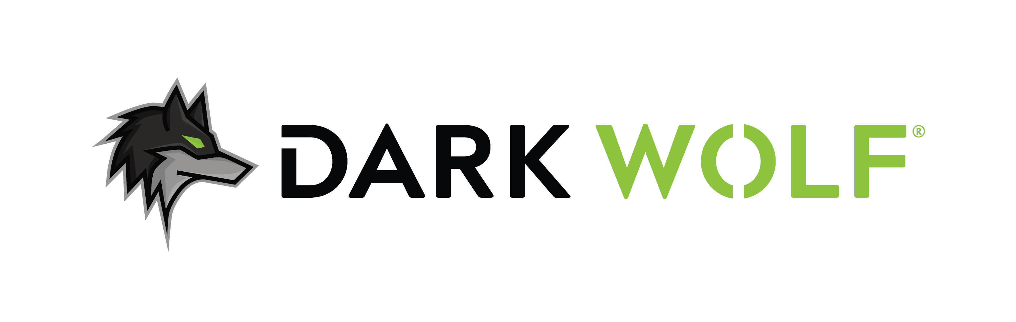 Dark Wolf Solutions