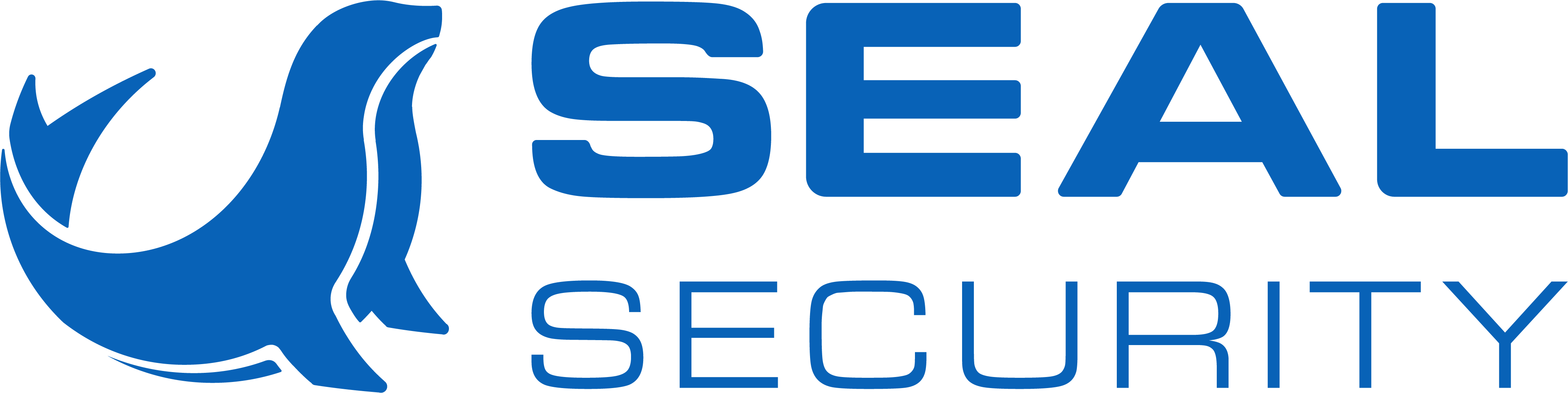 Seal Cybersecurity Solutions